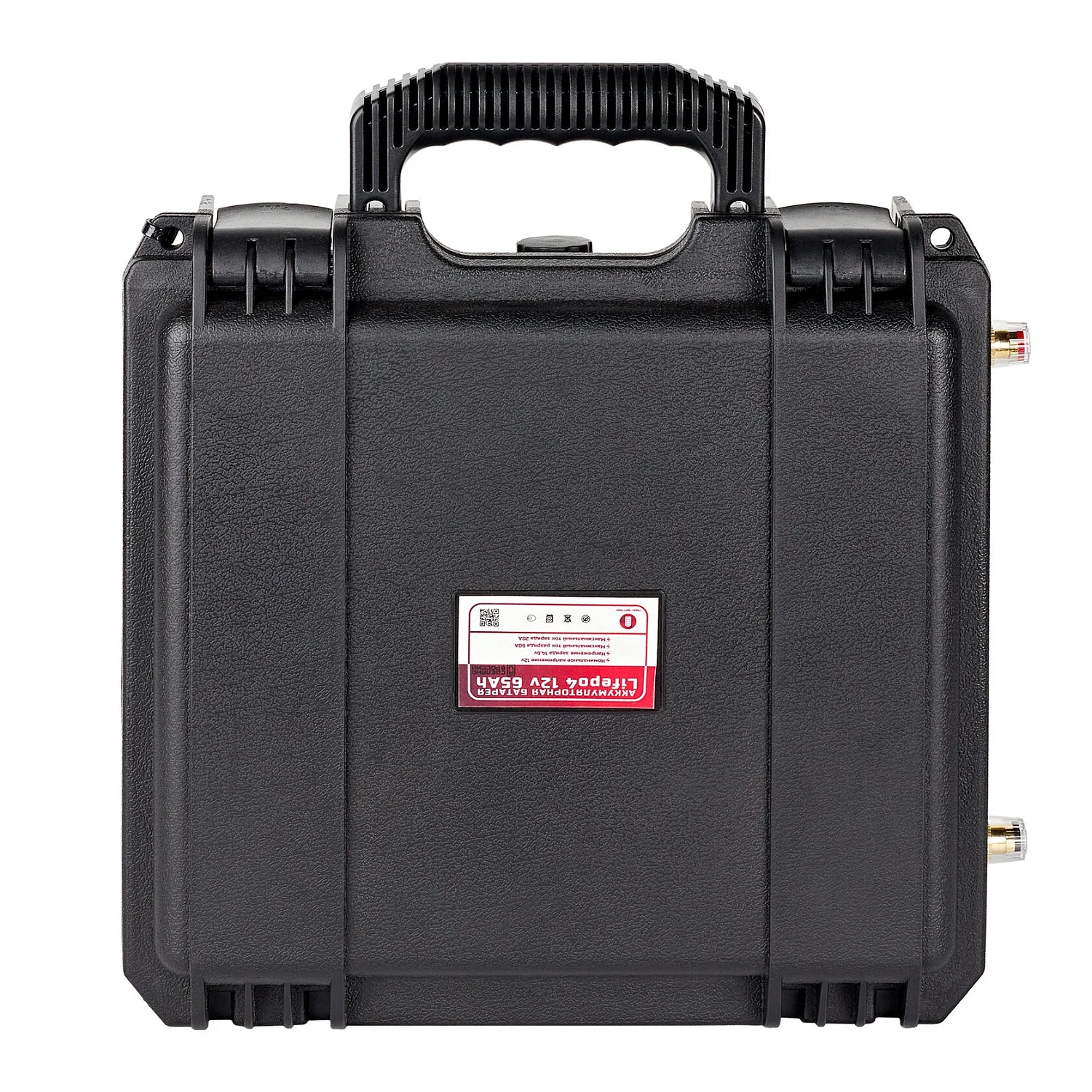 Аккумулятор LiFePo4 12v 65Ah 