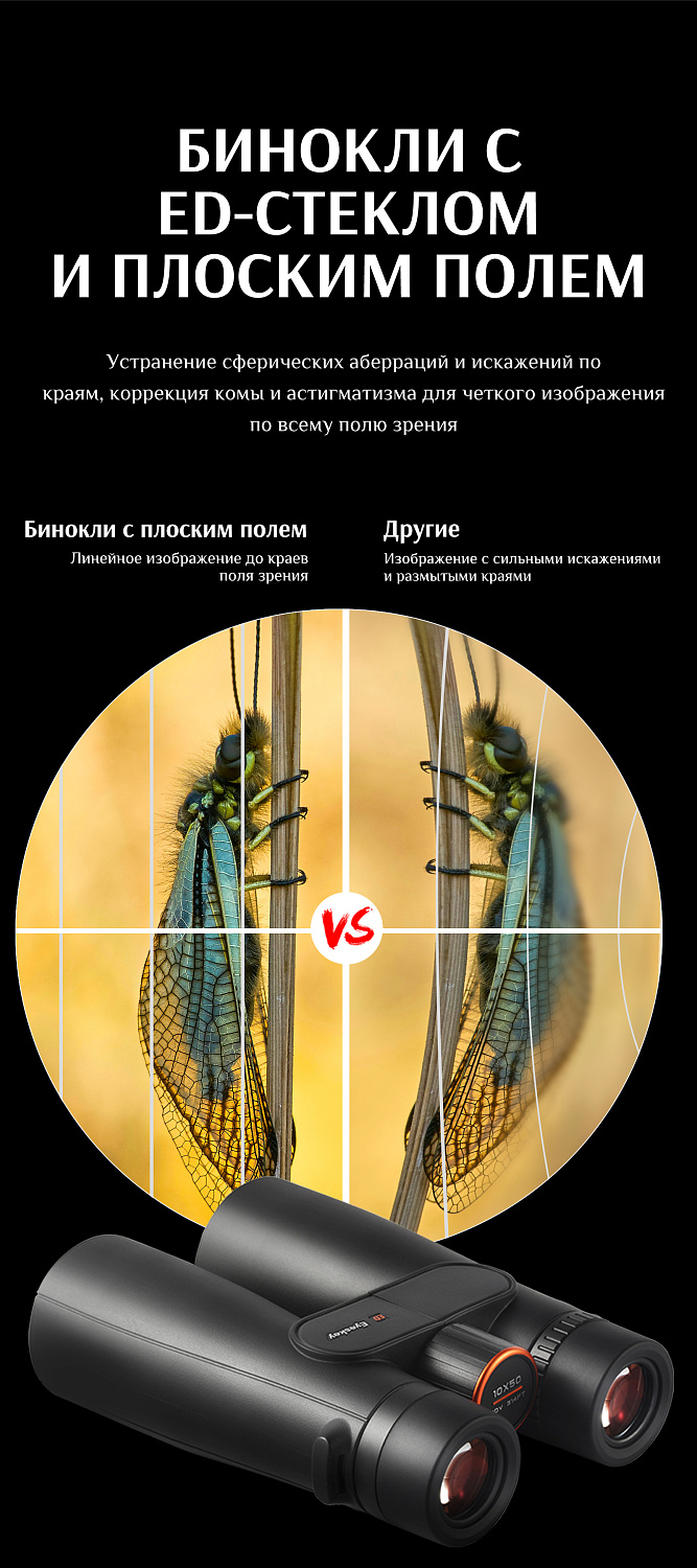 Бинокль Eyeskey Sport ED-10x42