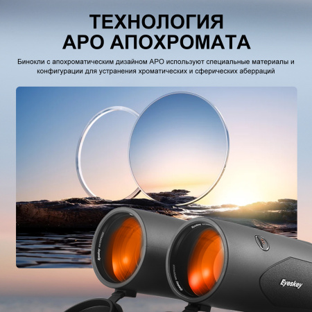 Бинокль Eyeskey SkyPower Flat-Field ED-15x56 EyeS-B130 от прозводителя Eyeskey